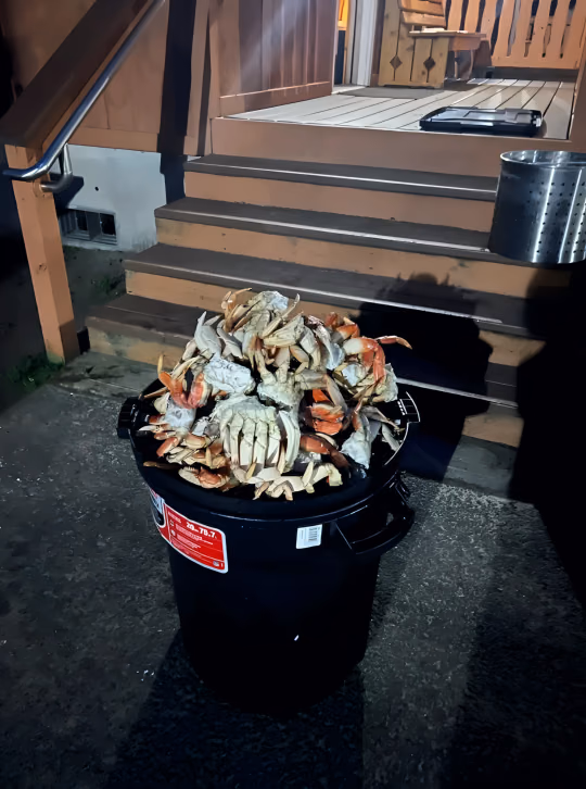 Black bin heaped with Dungeness crab in front of wooden steps
