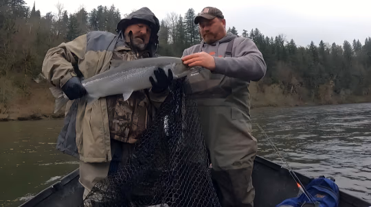 Two anglers in waders lifting a fish with a landing net on a boat